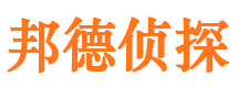 大悟侦探公司